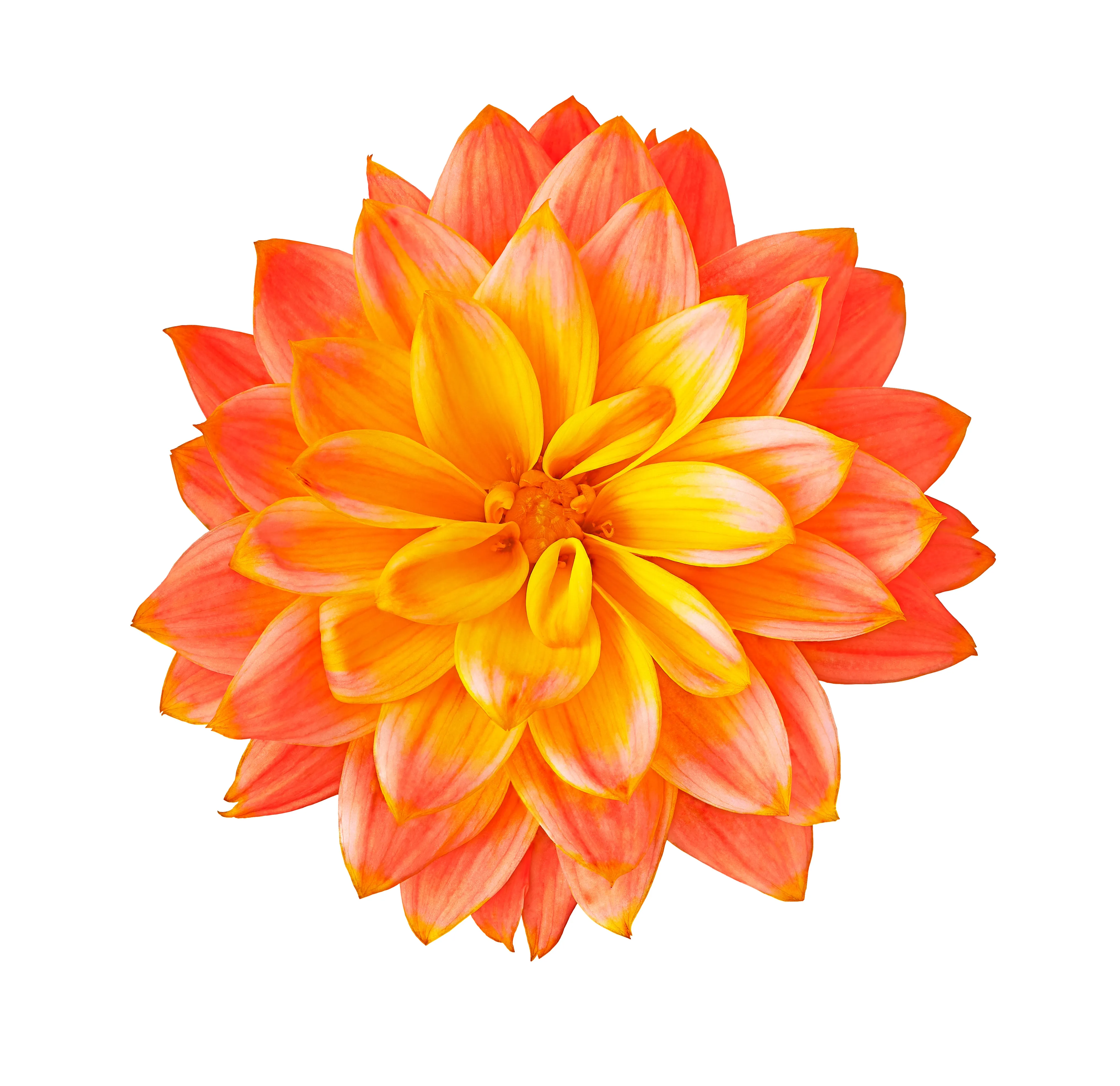 Δερματολογικό Ιατρείο UniqSkin